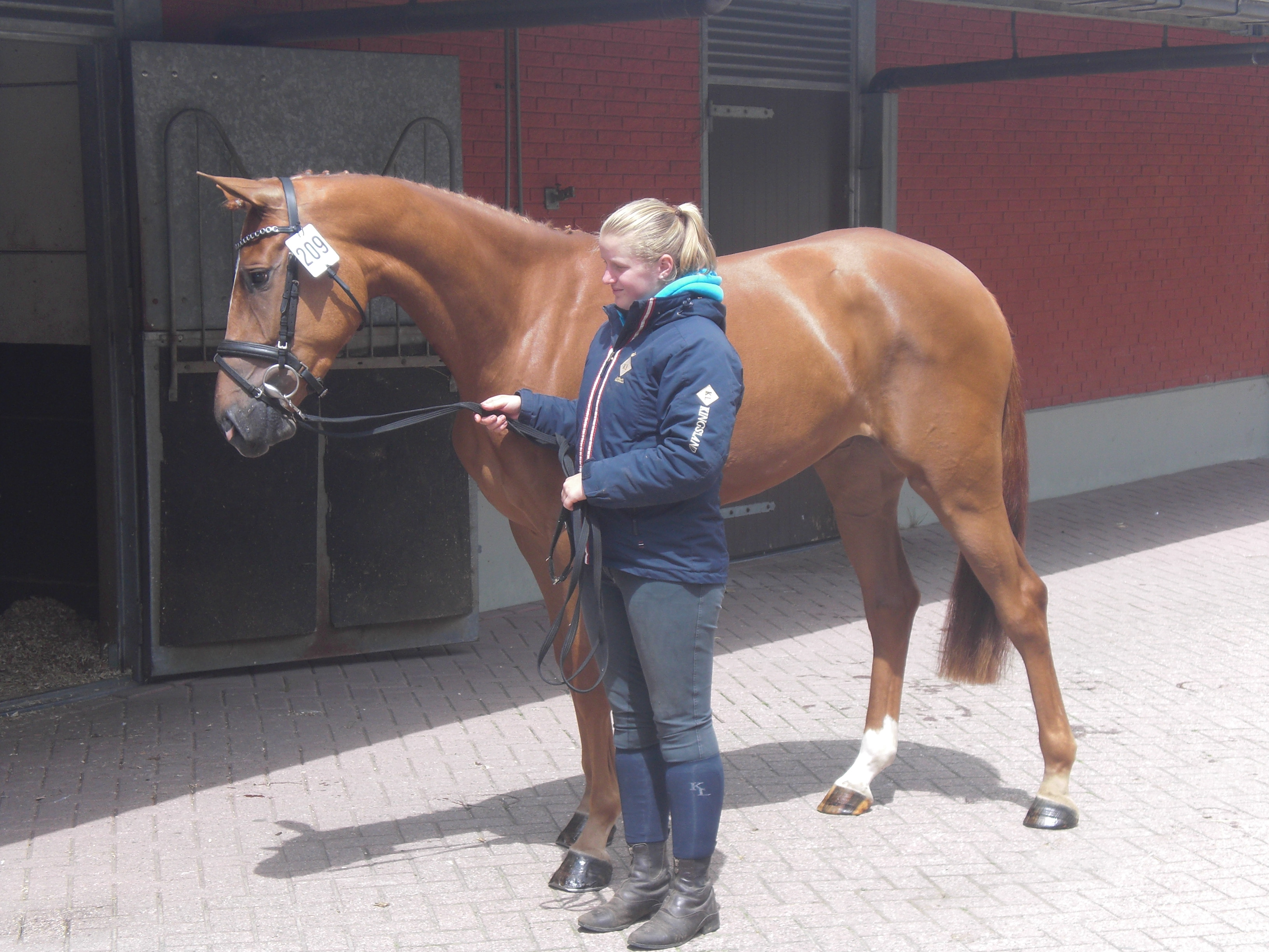 ESTHER | HorseTelex