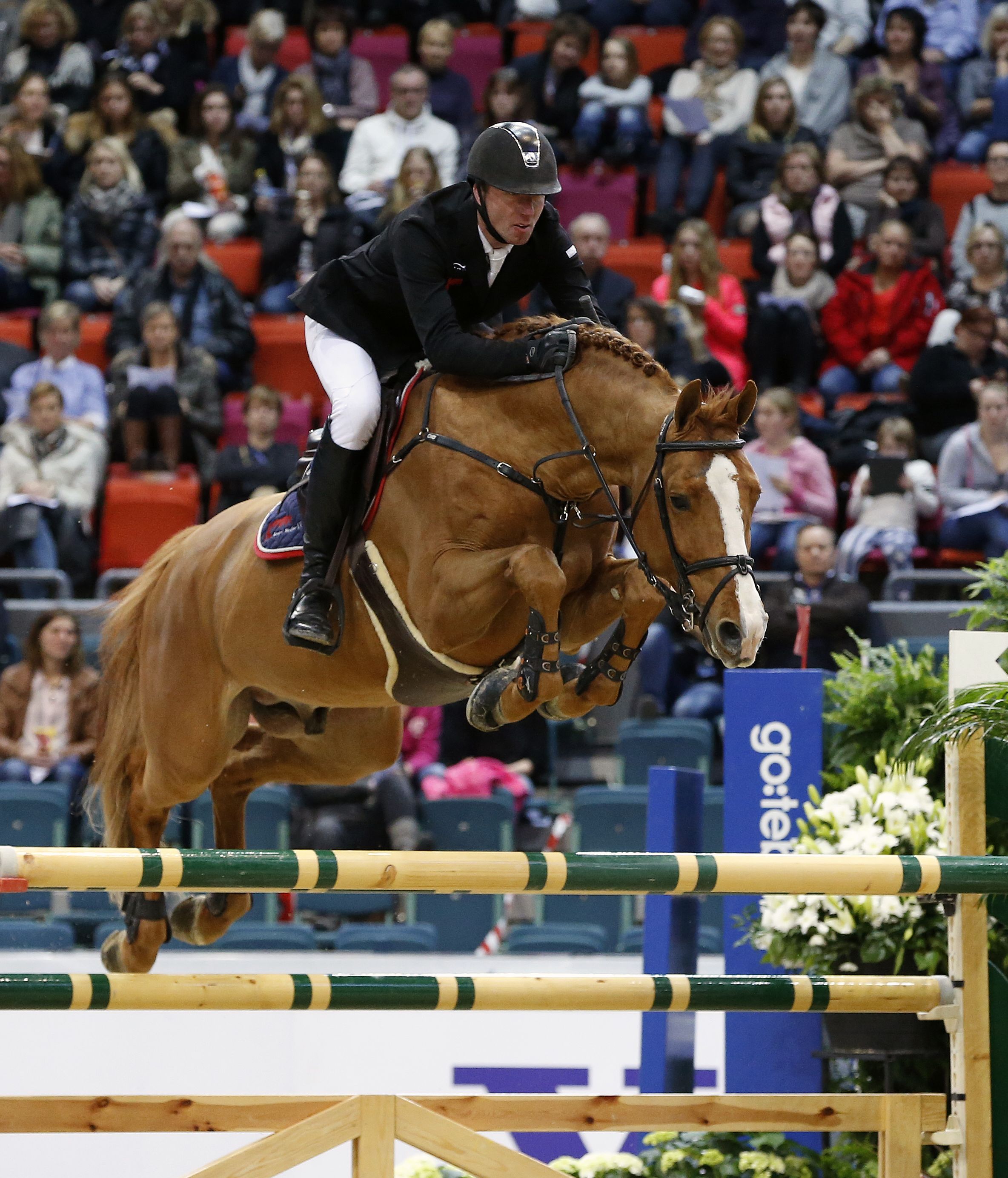 Arezzo wins at Indoor Brabant HorseTelex