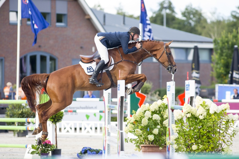 VDL Edgar M s. Arezzo VDL 5th in 1.45m Zandhoven HorseTelex