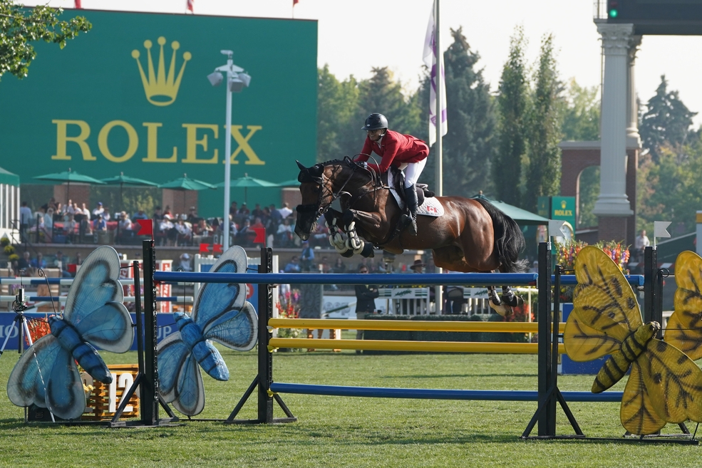 Grand Prix of Wellington is won by Harley daughter HorseTelex